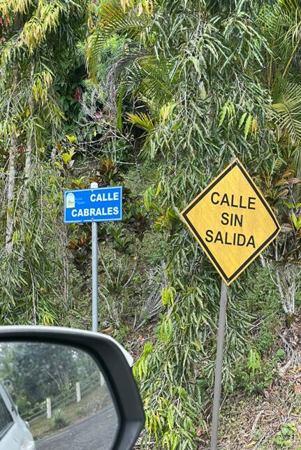 Sin título2